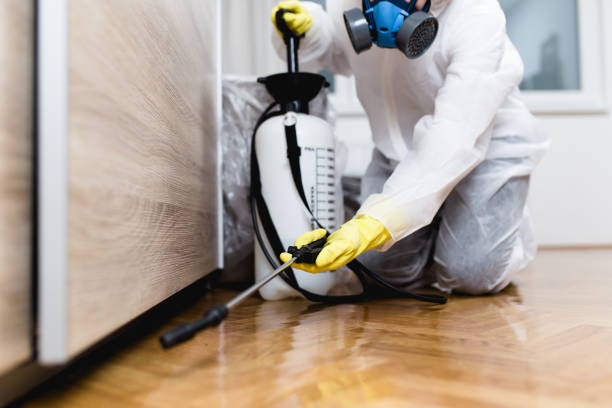 Best Affordable Pest Control Services  in West Milton, OH