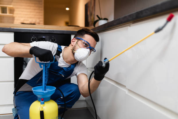 Best Termite Control Services  in West Milton, OH