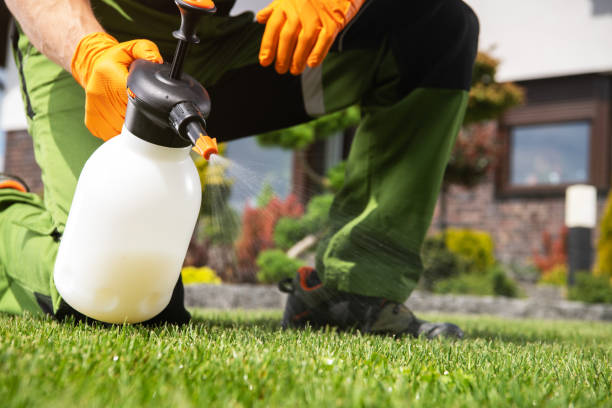 Wasp Removal Services in West Milton, OH