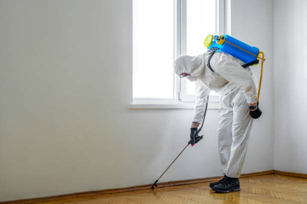 Best Wasp Removal Services  in West Milton, OH