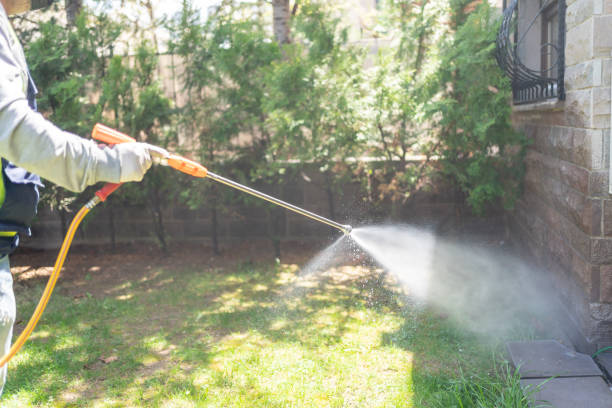 Spider Control Near Me in West Milton, OH