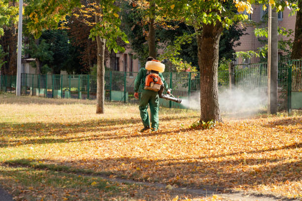 Best Pest Prevention Services  in West Milton, OH
